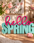 Statement - hello SPRING -