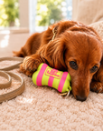 Maxbone - Waste Bag Holder Walk Etui